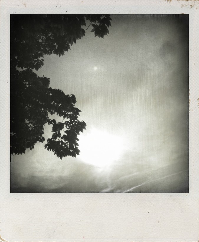 dark sky polaroid