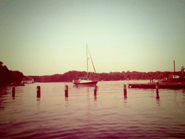 Happy Friday Cinemagraphs 